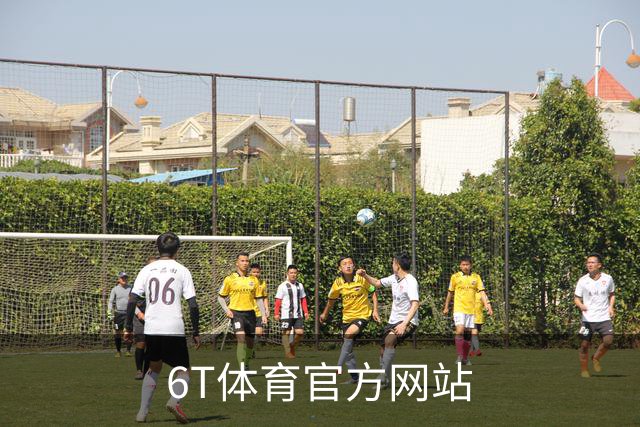 关于6T体育官方网站